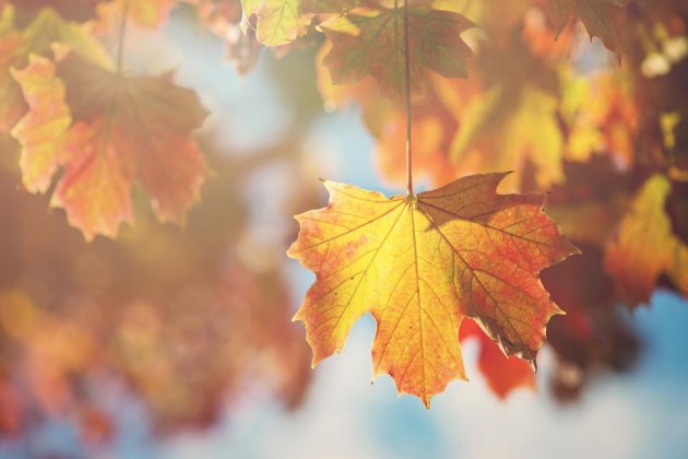 早安心语简单一句话2019