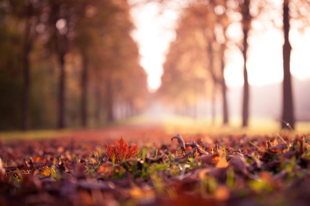 早安心语简单一句话2019