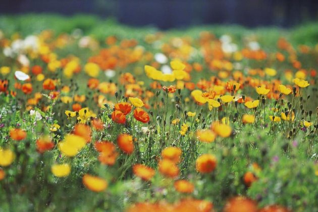 2019最美早安说说一句话