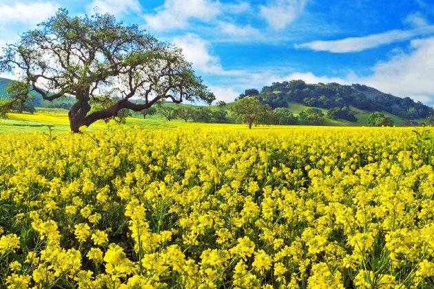 2019最美早安说说一句话