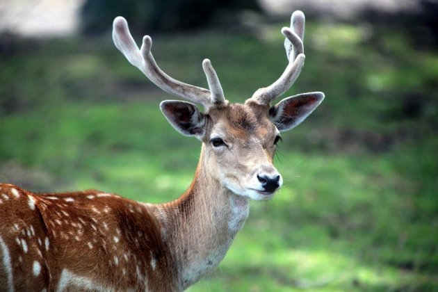 早安语录正能量的语句