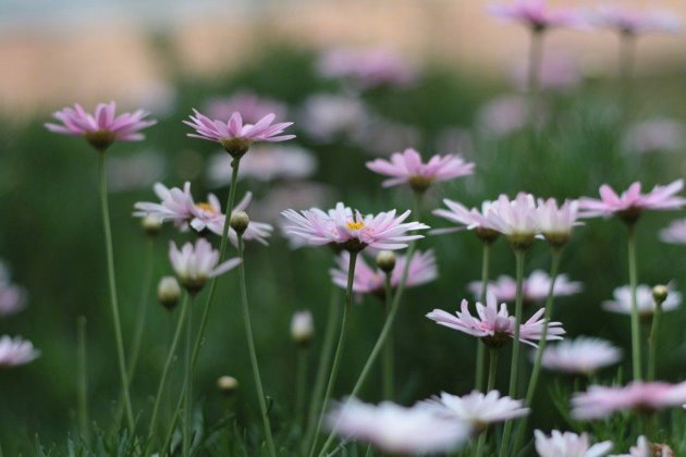 早安语录朋友圈语录