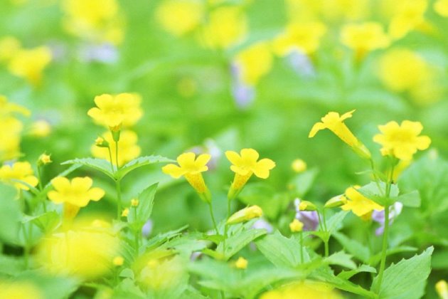 2019年最美早安心语正能量一句话