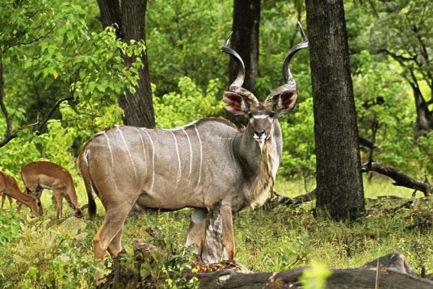 早安语录正能量的语句