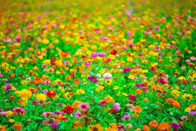 2019最美早安说说一句话