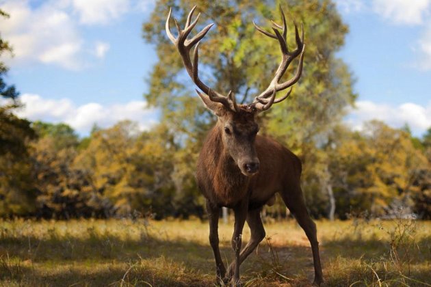 每天一条正能量早安心语的句子