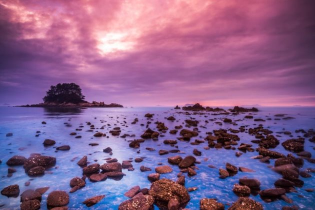 每天一条正能量早安的句子