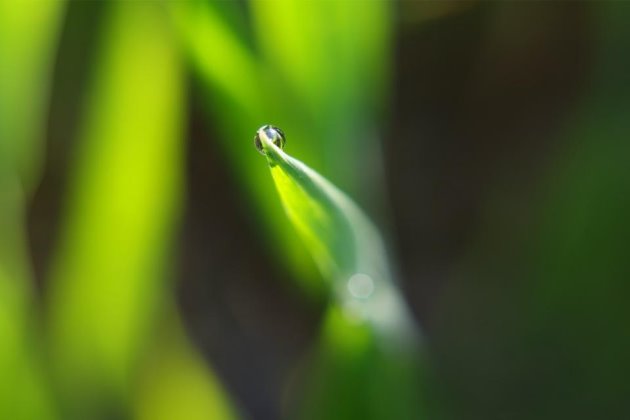 早安说说心情一句话正能量