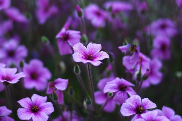 早安心语温暖语句