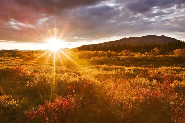 早安心语正能量微商