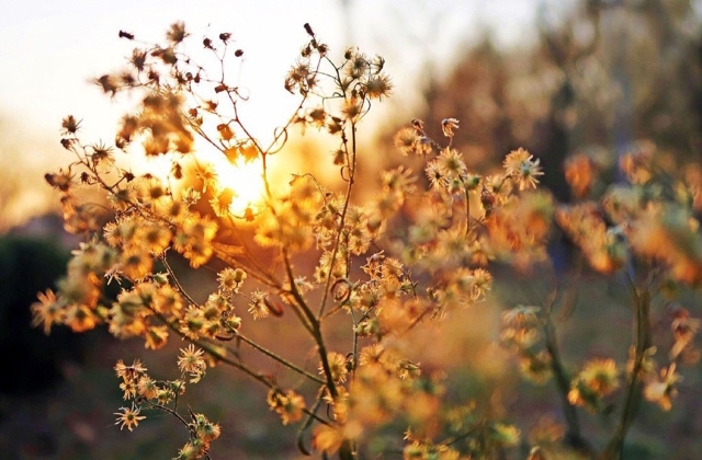 秋天<a href=http://www.huhuixin.com/shuoshuo/ target=_blank class=infotextkey>说说大全</a>唯美伤感 秋天的心情低落的句子