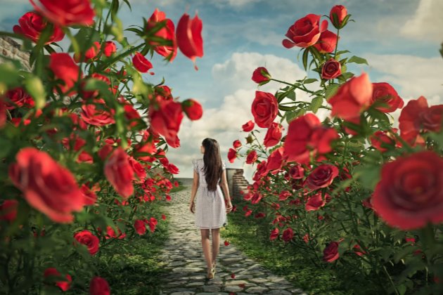 每天一条正能量早安:早上吸引朋友圈的句子