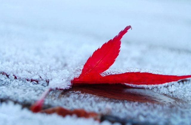 冬天下雪发说说的句子 适合下雪天的文艺句子