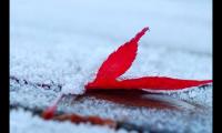 冬天下雪发说说的句子(适合下雪天的文艺句子)
