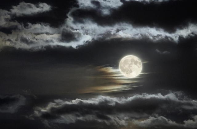 关于赏月的文案 和爱的人一起赏月的说说