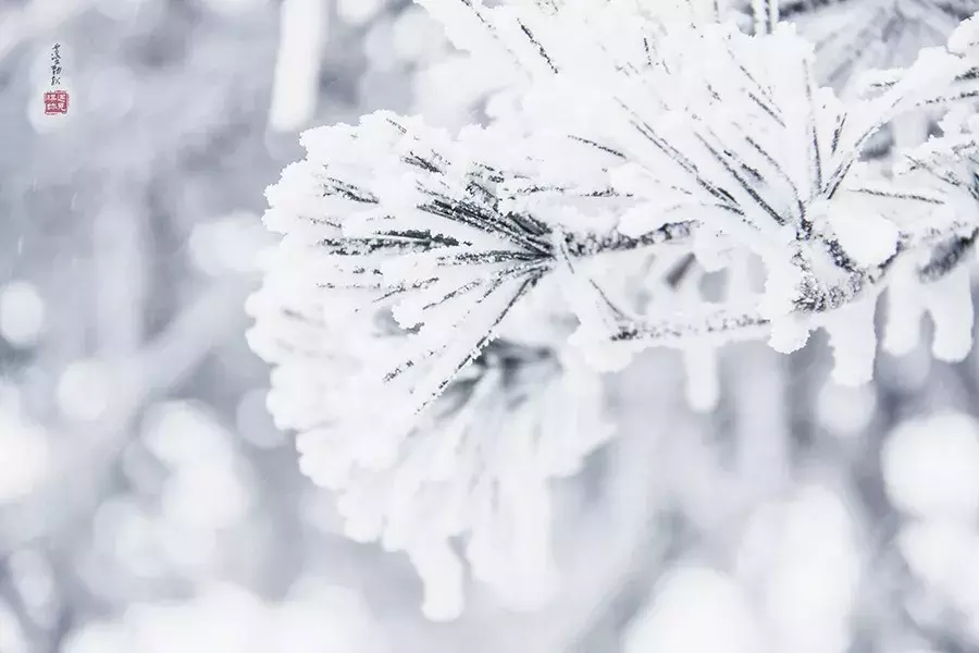 十首现代诗,十大诗人眼中的雪之美