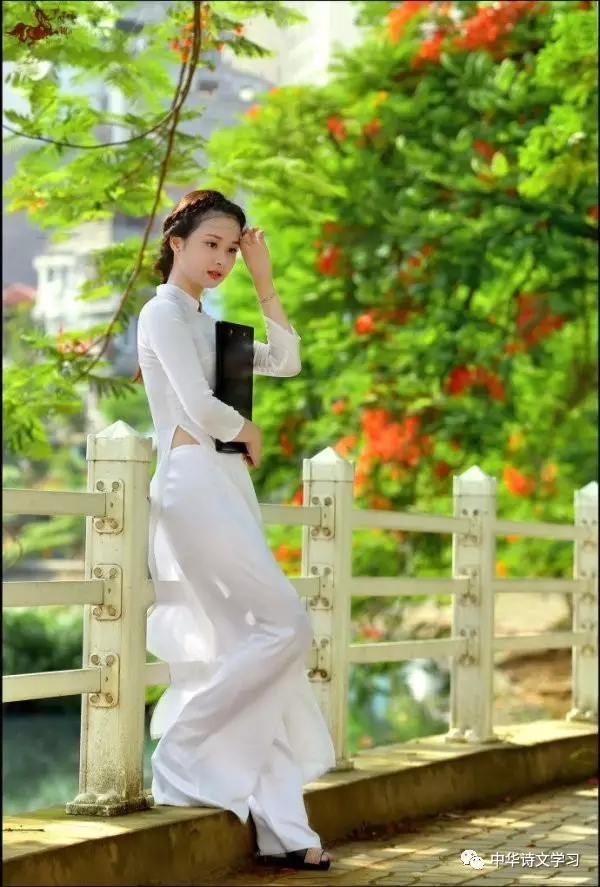七夕何夕,九首现代情诗送给你