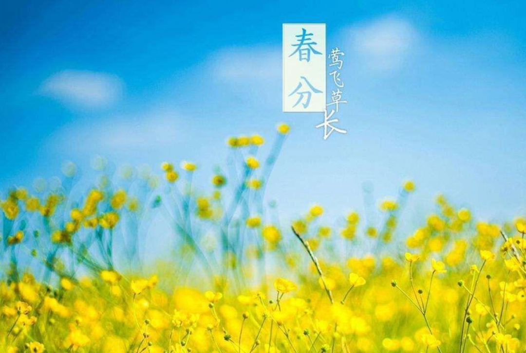 春色正中分 莺歌燕归时,十二首春分的诗词,沉醉在春天的美好里