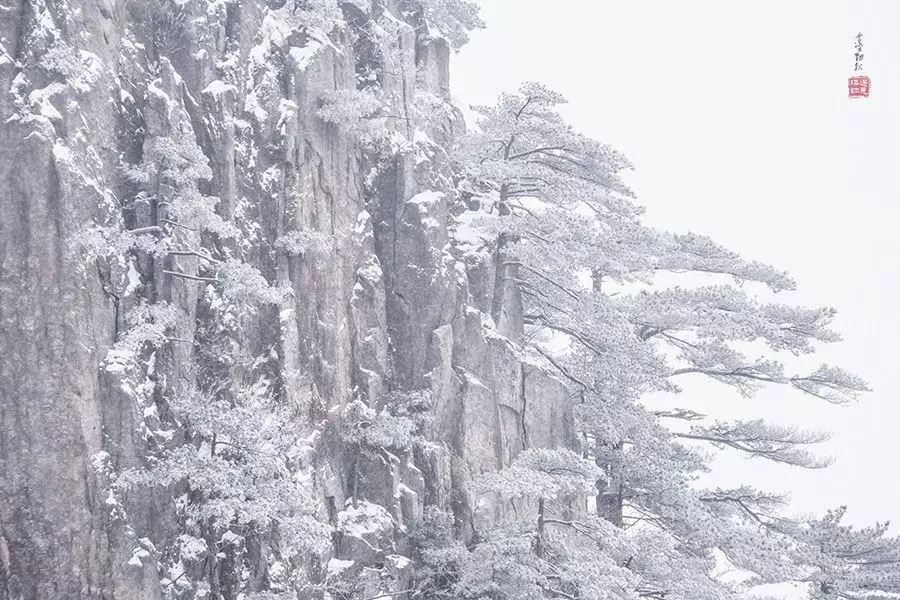 十首现代诗,十大诗人眼中的雪之美
