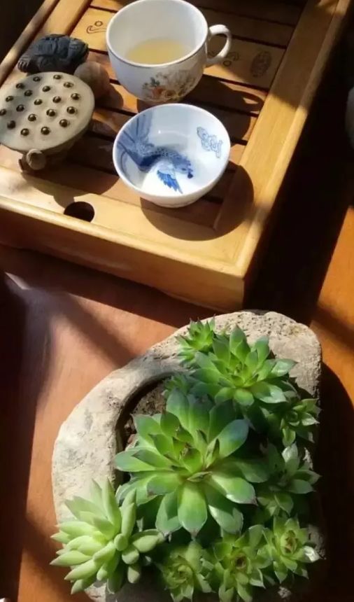 「诗词鉴赏」领略中国茶文化,品鉴中国茶诗词