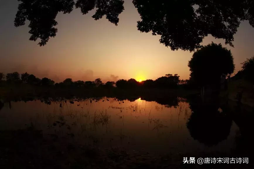千古名句!最具哲理性的十首诗词