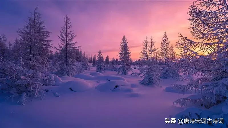千古名句!最具哲理性的十首诗词