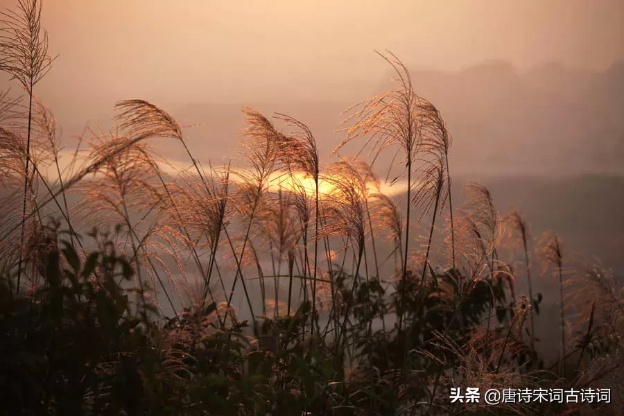 千古名句!最具哲理性的十首诗词