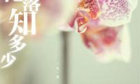 关于梦里花落知多少读后感大全