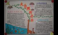 关于大自然的启示读后感大全