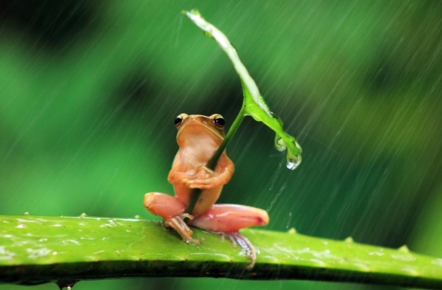 适合下雨发的朋友圈文案 下雨的说说伤感的句子