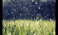 适合下雨发的朋友圈文案(下雨的说说伤感的句子)