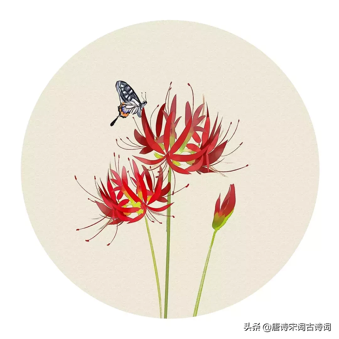 这100首夏日的诗词,一定能让你清心净气,清凉一夏