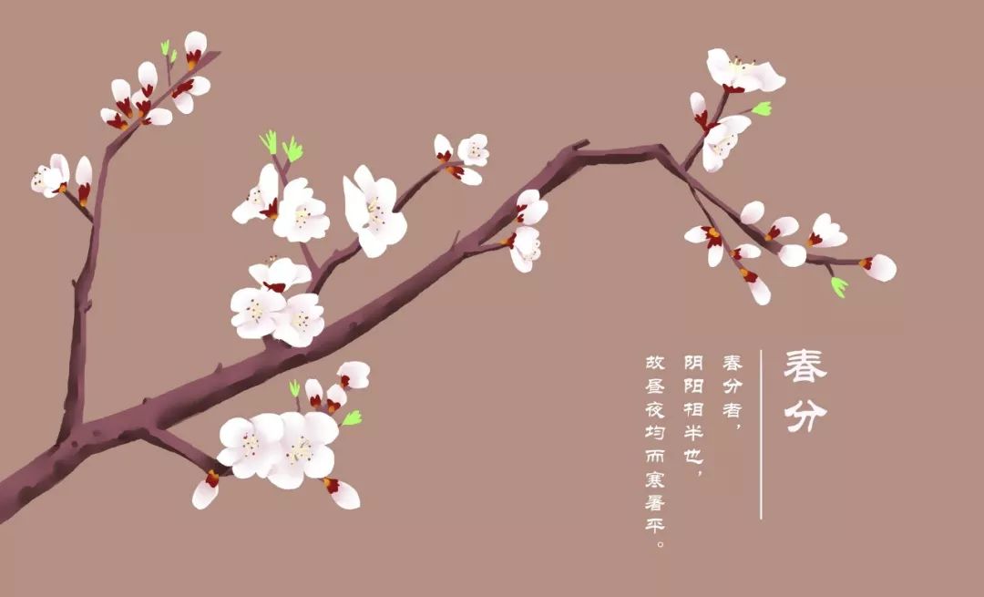 十首杏花诗词,灿若云霞,占尽春风