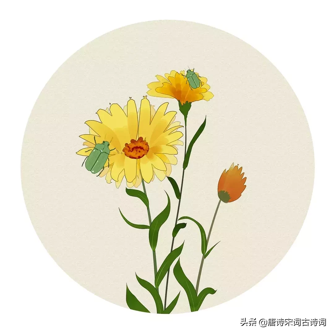 这100首夏日的诗词,一定能让你清心净气,清凉一夏