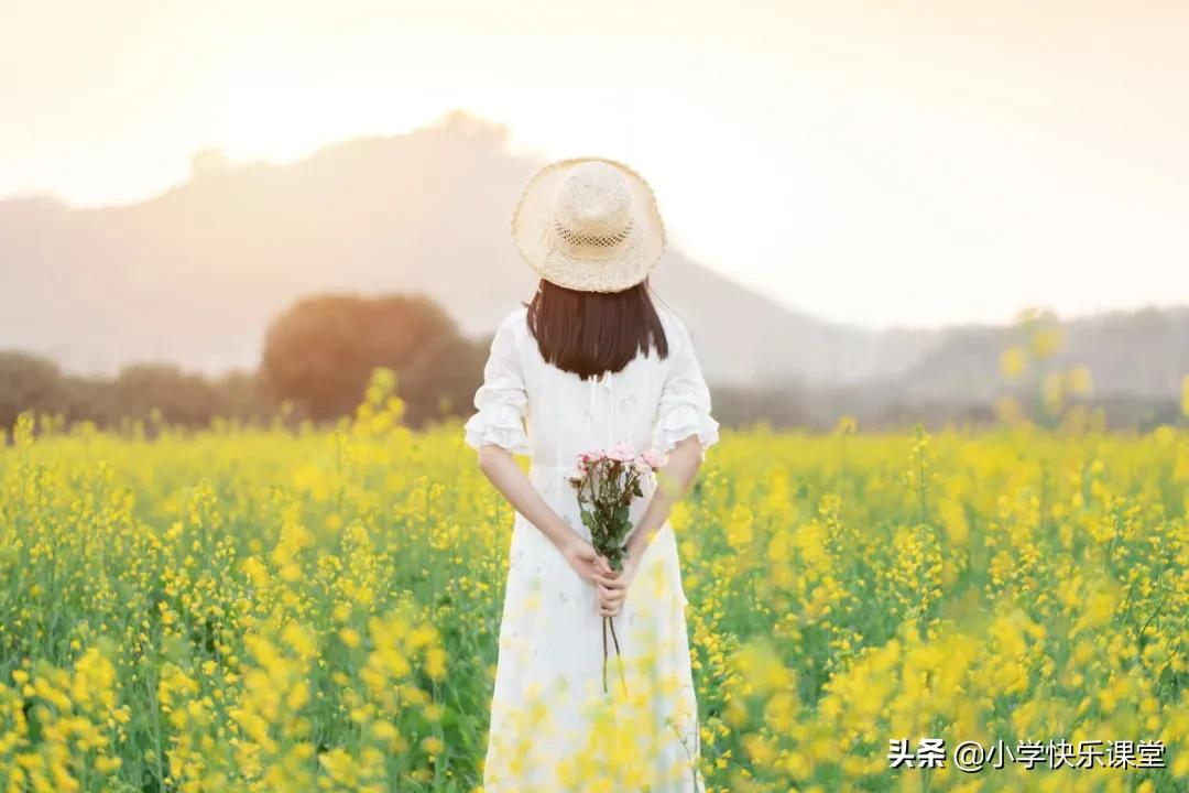 中小学作文赏析—《心中最美的风景》作文600字,精选满分4篇