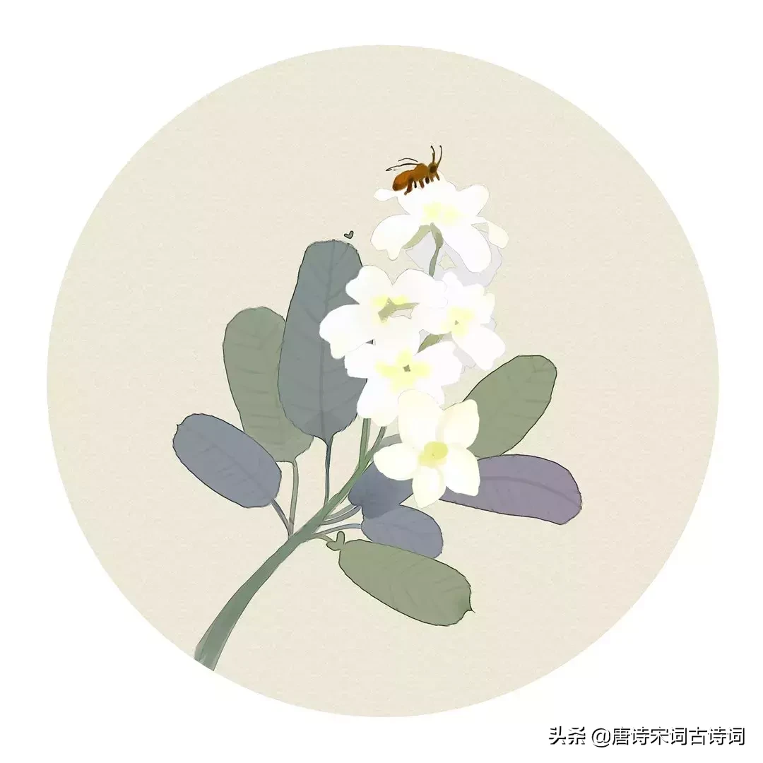 这100首夏日的诗词,一定能让你清心净气,清凉一夏