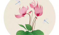 关于夏天的古诗大全（小学关于夏天的古诗）