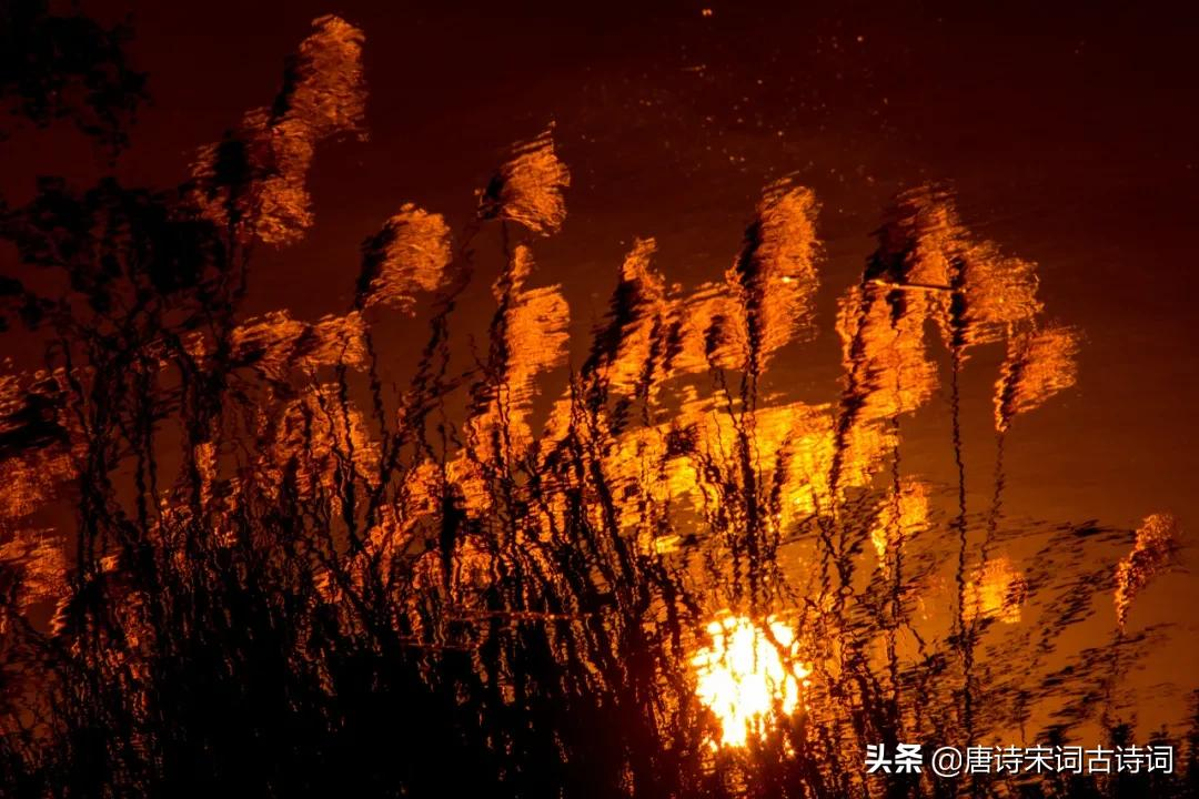 秋天黄昏,有愁亦无愁