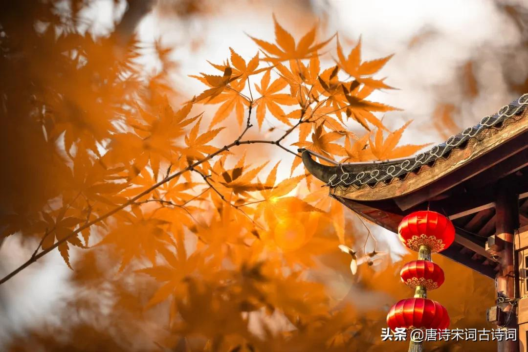 秋天黄昏,有愁亦无愁