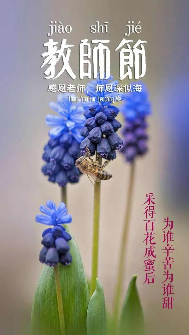 「诗词鉴赏」教师节,那些赞美老师的诗句