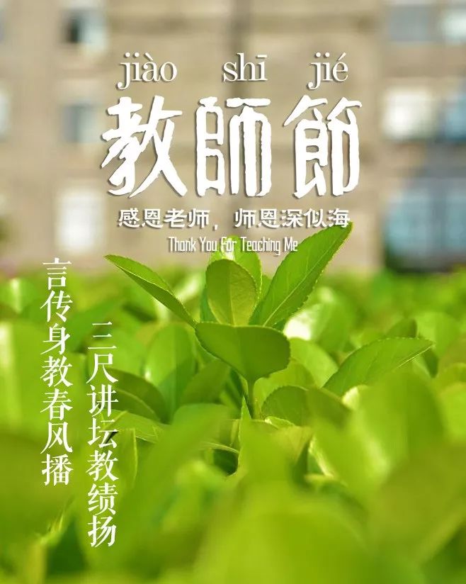 「诗词鉴赏」教师节,那些赞美老师的诗句