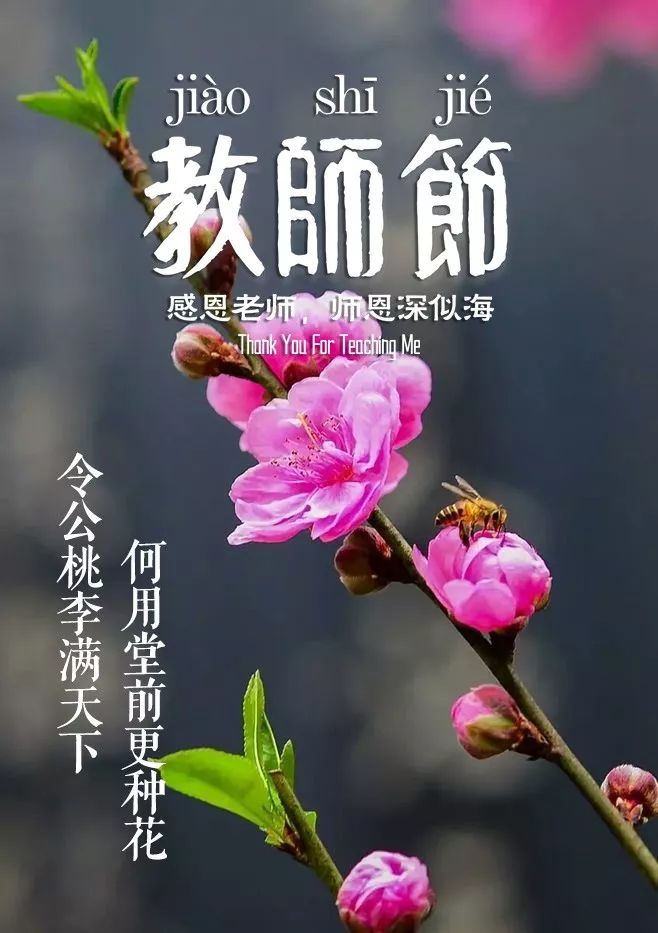 「诗词鉴赏」教师节,那些赞美老师的诗句