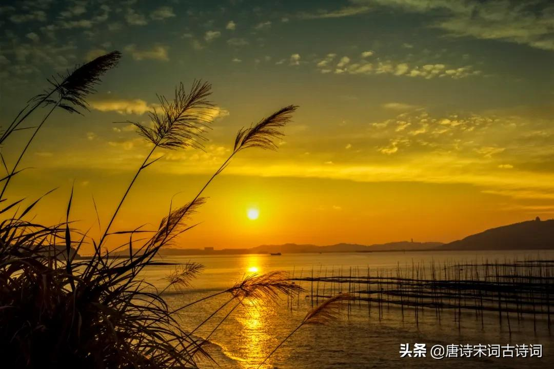 夕阳无限好,犹能灿长天
