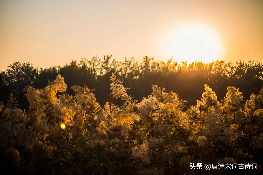 秋天黄昏,有愁亦无愁