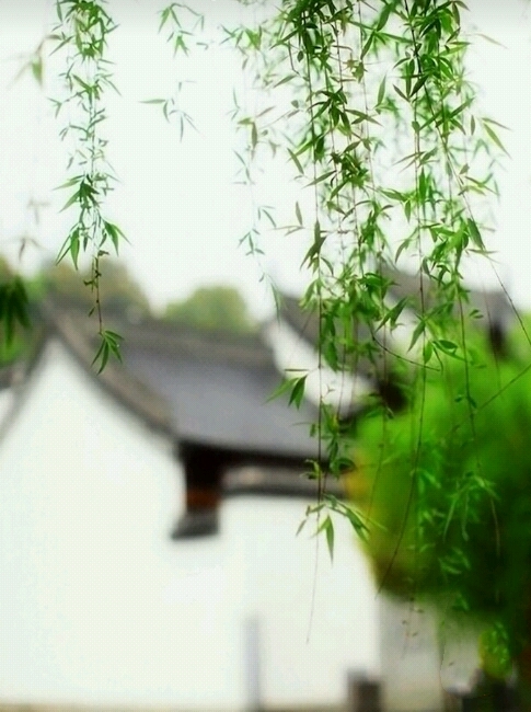 诗词赏析/鹧鸪天/晏几道
