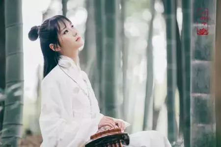十首柳永诗词:系我一生心,负你千行泪