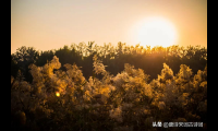 秋天伤感美文美句（想念一个人伤感散文）