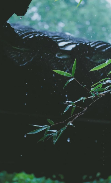 当暴雨遇见古诗词,十五首有关暴雨的诗词,欣赏暴雨的气势与景象