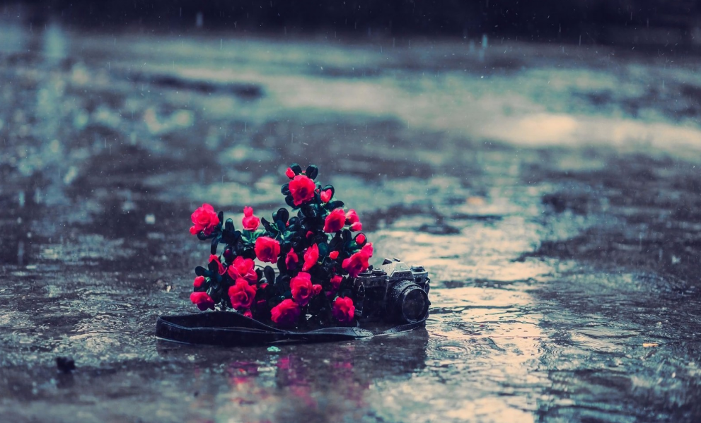 当暴雨遇见古诗词，十五首有关暴雨的诗词，欣赏暴雨的气势与景象​