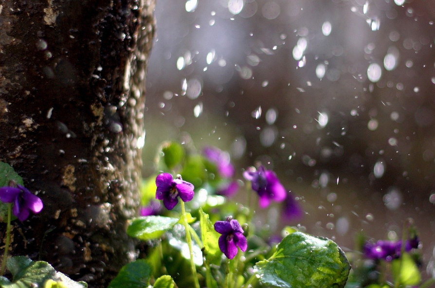 当暴雨遇见古诗词,十五首有关暴雨的诗词,欣赏暴雨的气势与景象